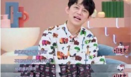 何炅家族爆料事件视频播放,揭秘明星家庭背后的故事